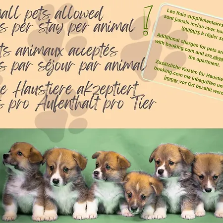 Apartment Dolce - Familial & Lumineux, Centre Historique